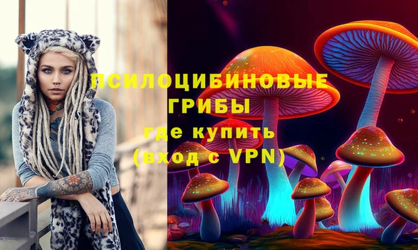 дживик Куйбышев