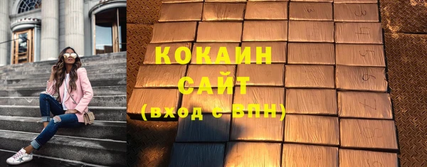 ГАЛЛЮЦИНОГЕННЫЕ ГРИБЫ Кулебаки