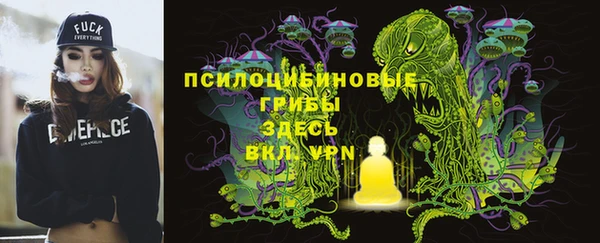 дживик Куйбышев