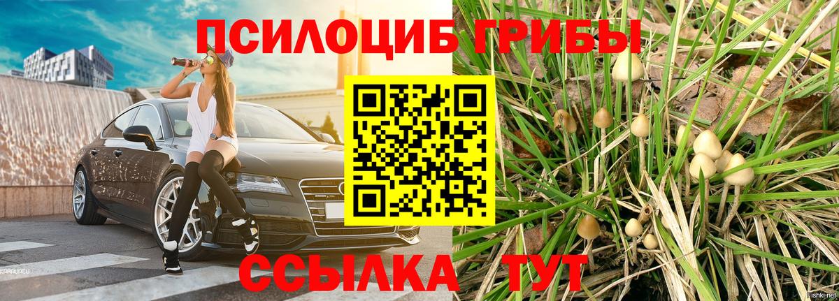 Псилоцибиновые грибы ЛСД Родники