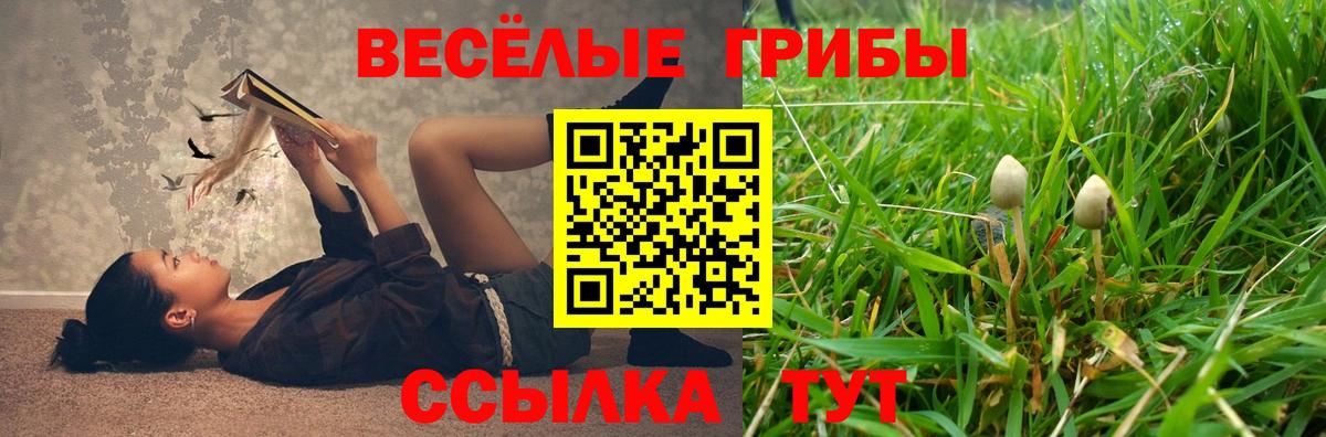 Родники  Галлюциногенные грибы мицелий  Вход с VPN 